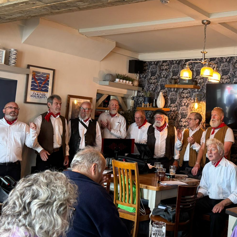 Shanty in the Tudor 